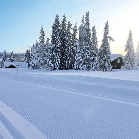 Appartement Fjellstua C3, Leil 202 Sjusjoen