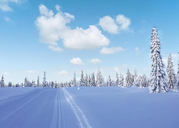 Fjellstua C3, Leil 202 Apartament *